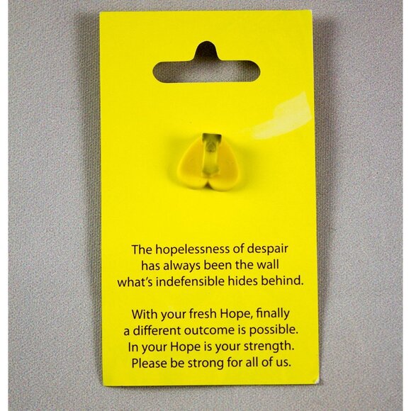 Penzey's Spices Embrace Hope Heart-Shaped Lapel Pin Rainbow Colors - Picture 2 of 4